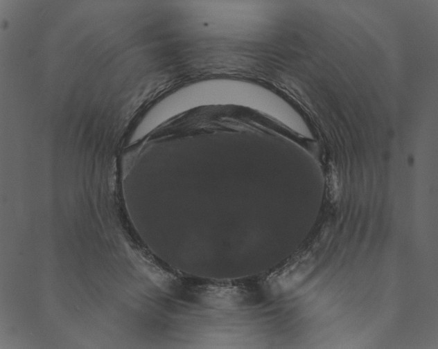 X0000089670458200707121228