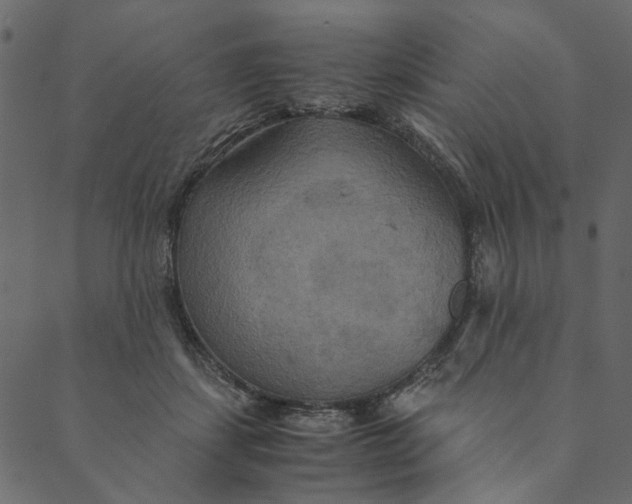 X0000089670459200707121228