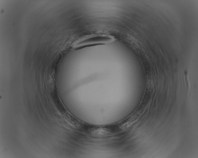 X0000089670460200707121228