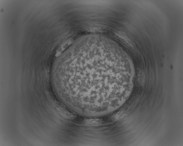 X0000089670461200707121228