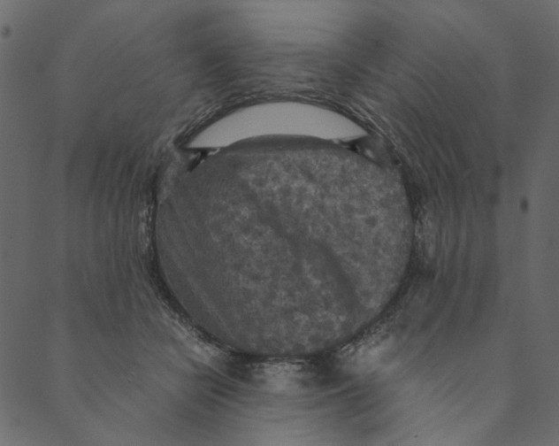 X0000089670462200707121228