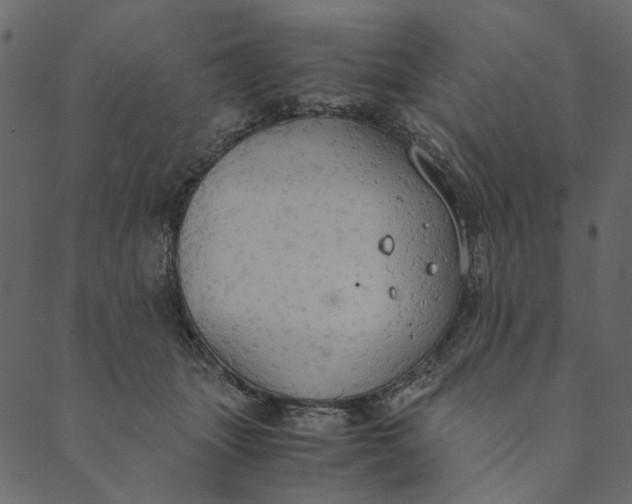 X0000089670463200707121228