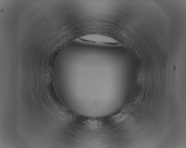 X0000089670464200707121228