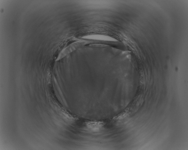 X0000089670465200707121228