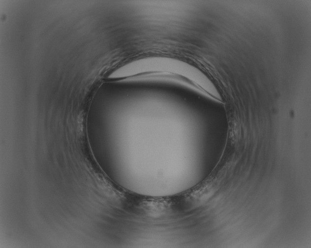 X0000089670466200707121228