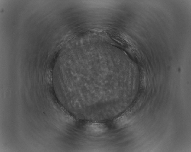 X0000089670467200707121228