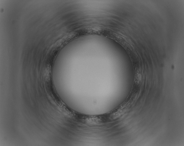 X0000089670468200707121228