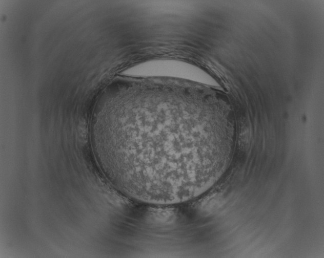 X0000089670469200707121228