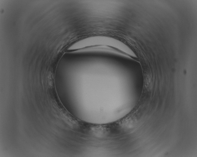 X0000089670470200707121228