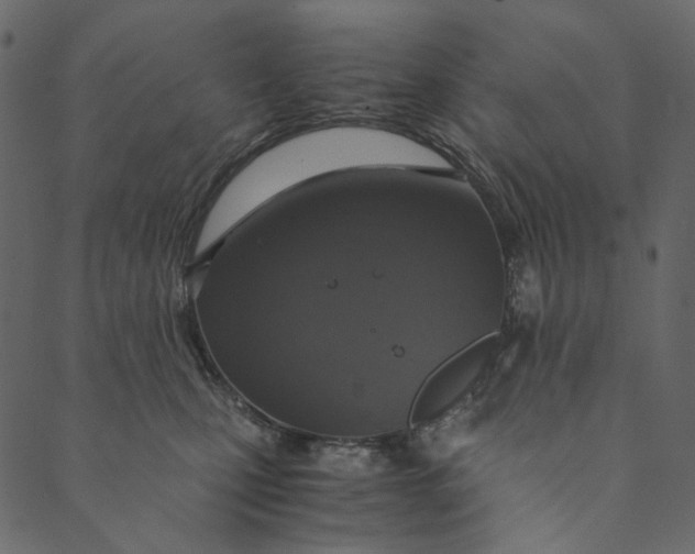 X0000089670471200707121228