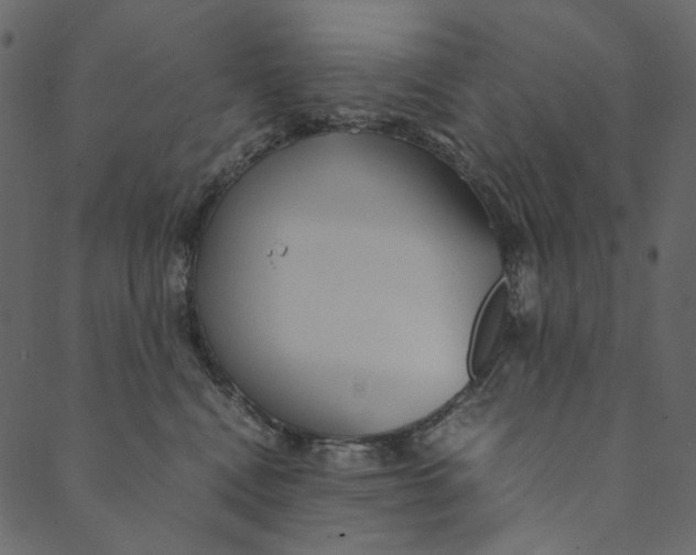 X0000089670472200707121228