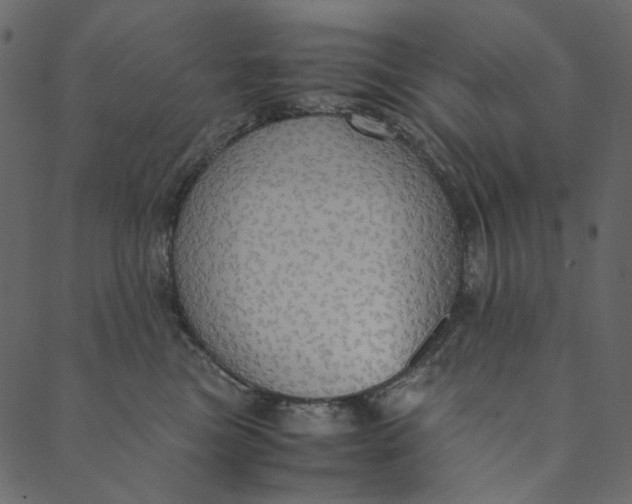 X0000089670473200707121228