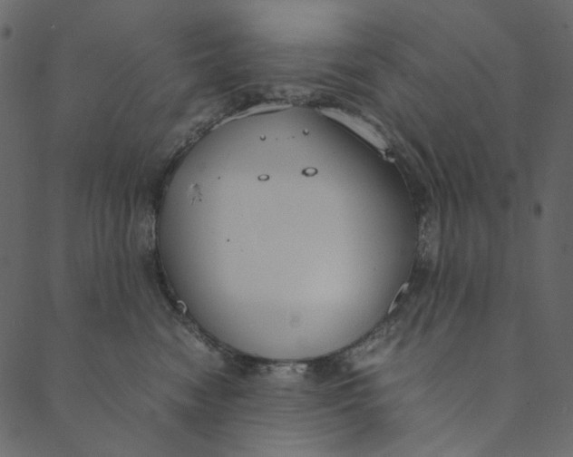 X0000089670474200707121228