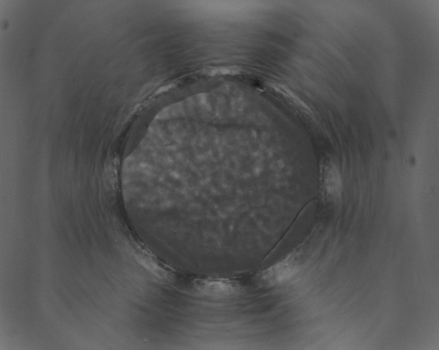 X0000089670475200707121228