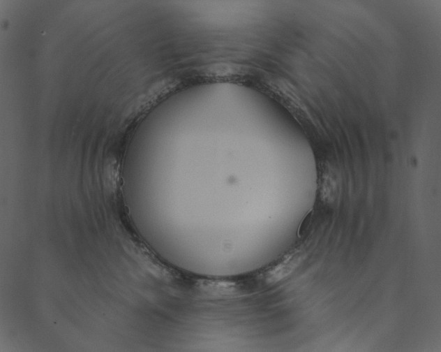 X0000089670476200707121228