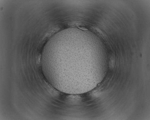 X0000089670477200707121228