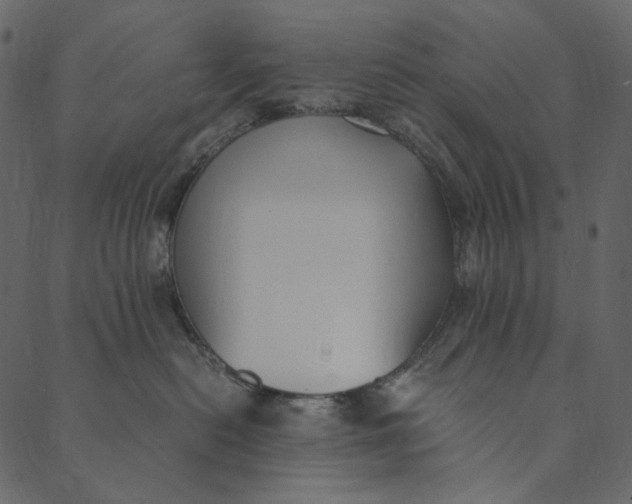 X0000089670478200707121228