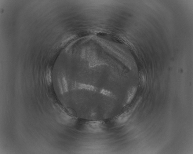 X0000089670479200707121228