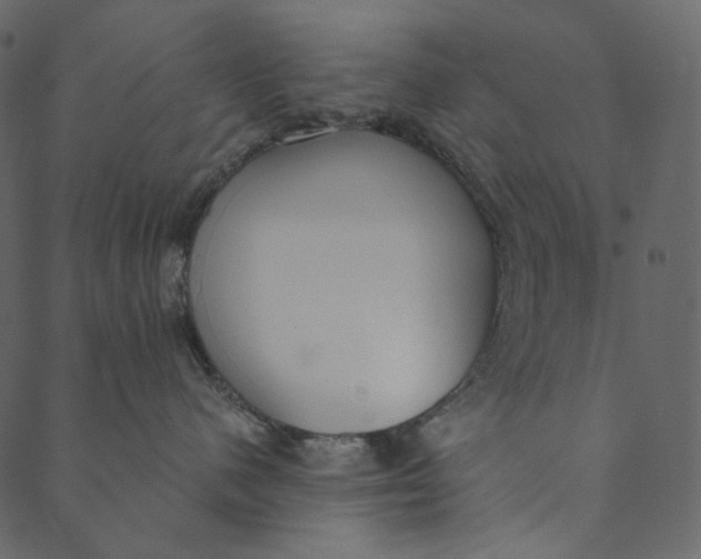 X0000089670480200707121228