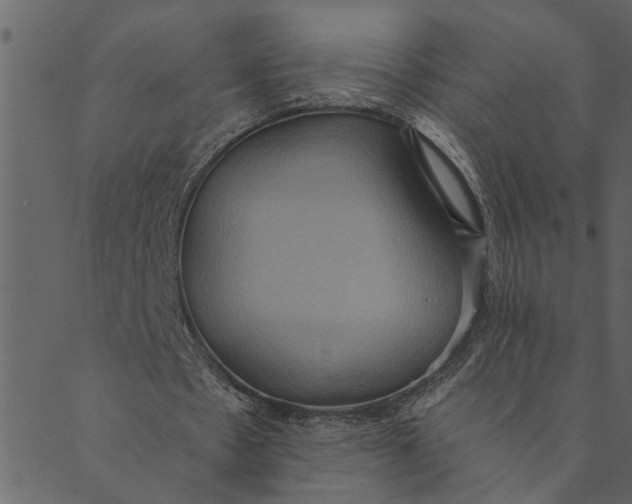 X0000089670481200707121228