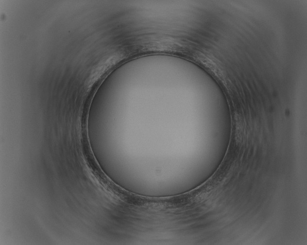 X0000089670482200707121228