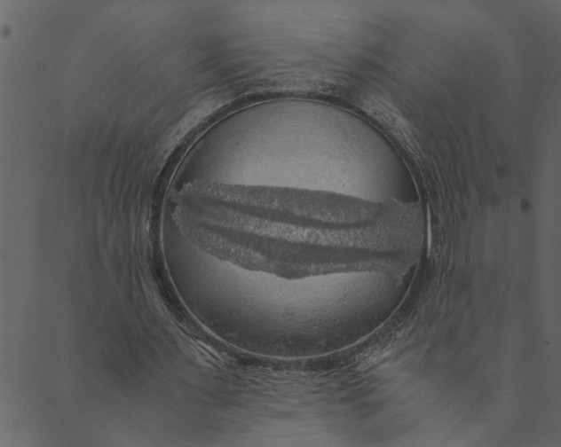 X0000089670483200707121228