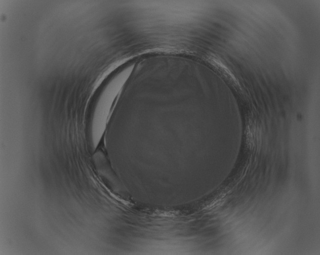 X0000089670484200707121228