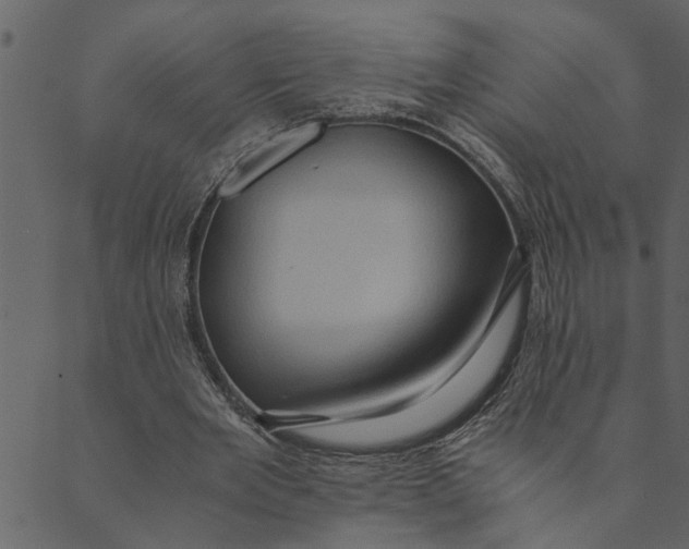 X0000089670485200707121228