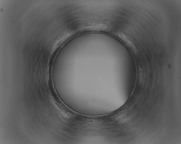 X0000089670486200707121228