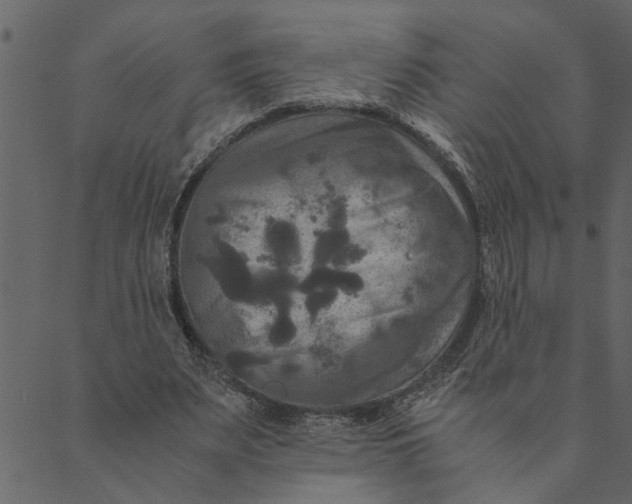 X0000089670487200707121227