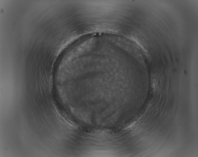 X0000089670488200707121227