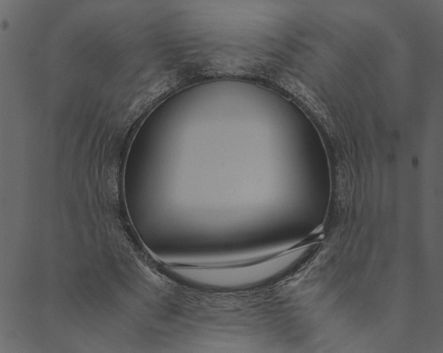 X0000089670489200707121227