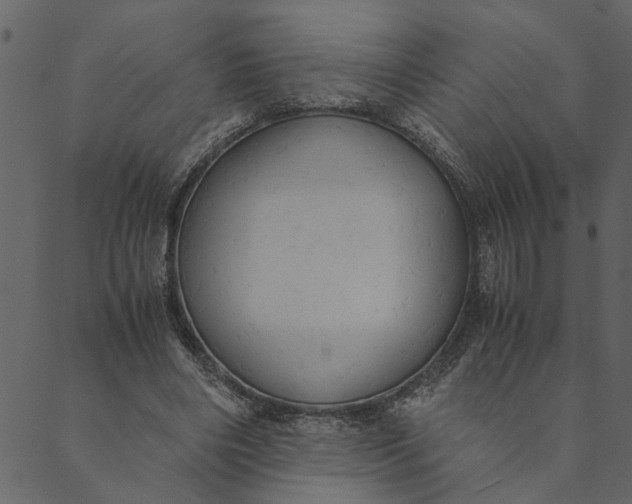 X0000089670490200707121227