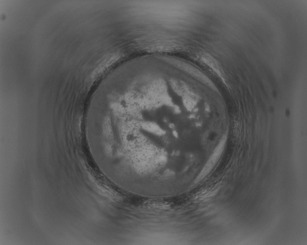 X0000089670491200707121227