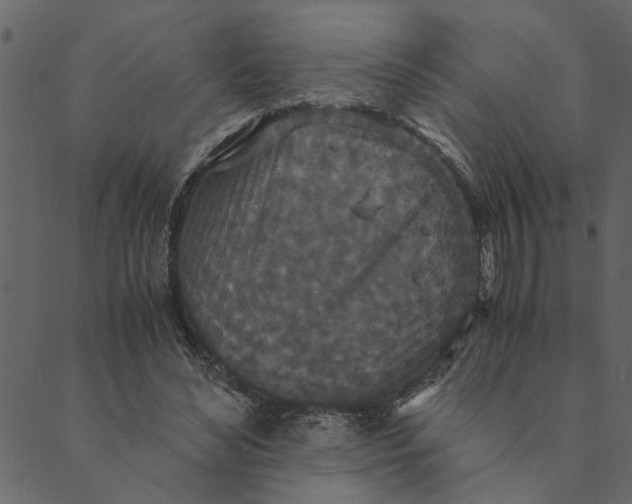 X0000089670492200707121227