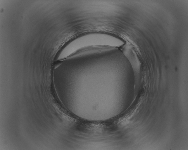 X0000089670493200707121227