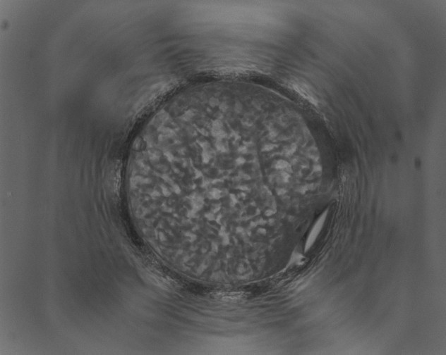 X0000089670495200707121227