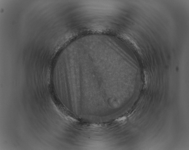 X0000089670496200707121227