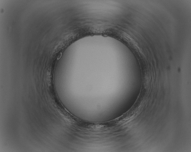 X0000089670497200707121227