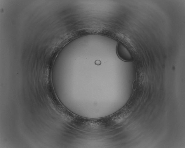 X0000089670498200707121227