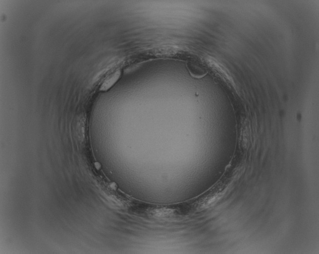 X0000089670501200707121227