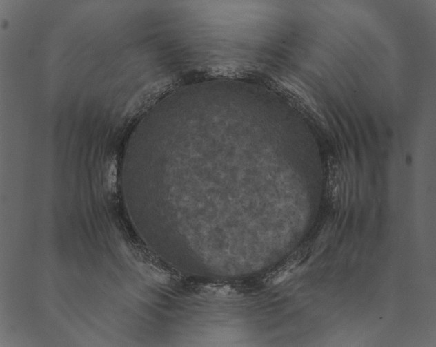 X0000089670502200707121227