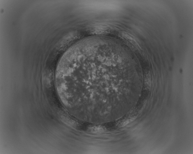 X0000089670503200707121227