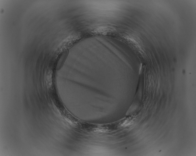 X0000089670504200707121227