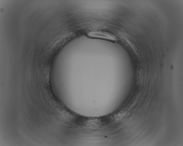 X0000089670505200707121227