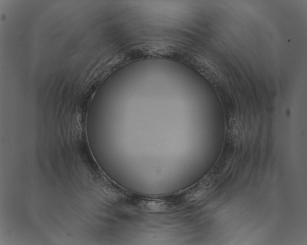 X0000089670506200707121227