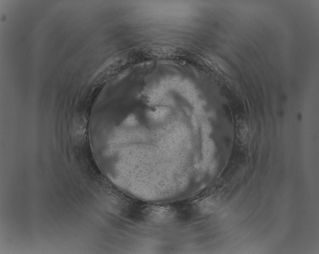 X0000089670507200707121227