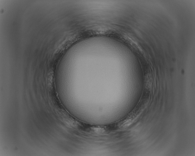 X0000089670509200707121227