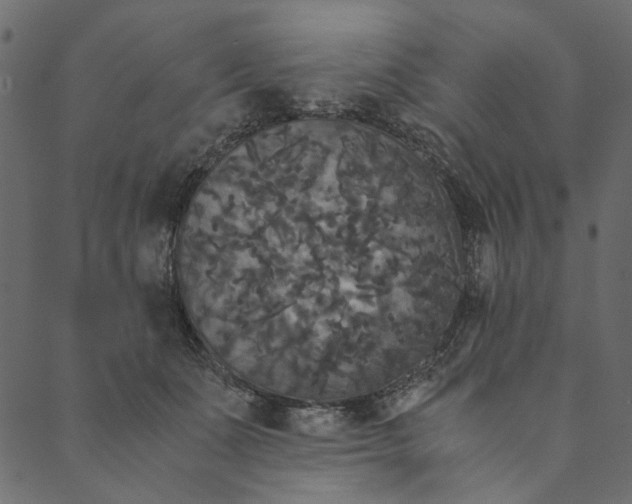 X0000089670511200707121227