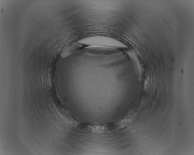 X0000089670512200707121227